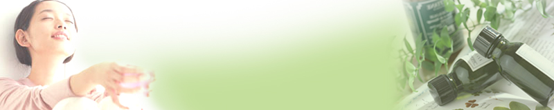 �y�f�T�v�������g�̏��i�߂���j���T�C�g